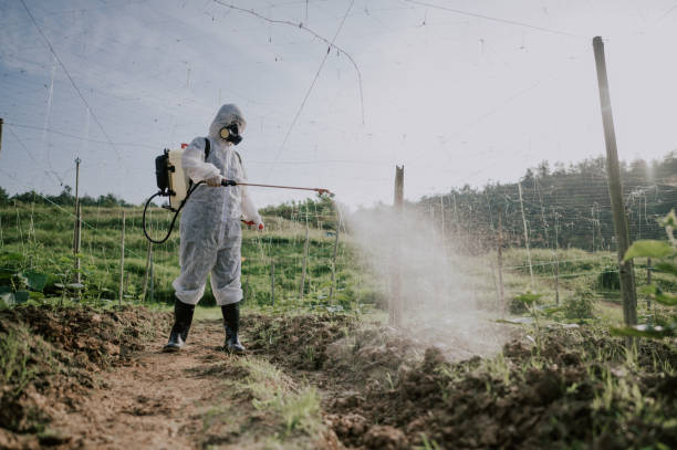 Best Mosquito Control Services  in Clinton, WI