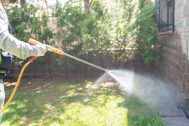 Best Bird Control  in Clinton, WI