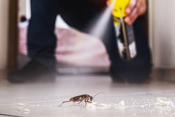 Trusted Clinton, WI Pest Control Experts