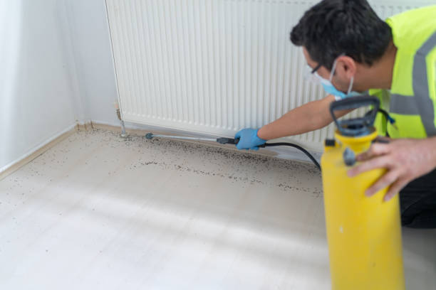 Best Best Pest Control Companies  in Clinton, WI