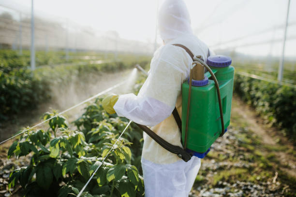 Best Flea Control Services  in Clinton, WI